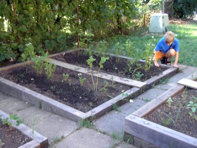 Schulgarten